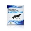 careforce 100 00